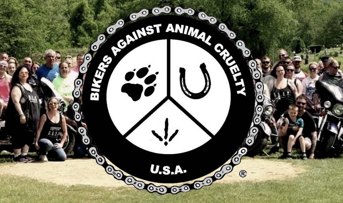 Motorcycles, vendors, and attendees at the 19th Annual Bikers Against Animal Cruelty Rally in Guilford, Connecticut.